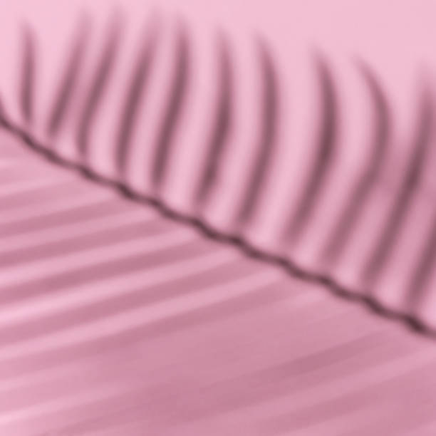 istock pink background and palm tree shadow. leisure, travel and entertainment concept with copy space 1323084263