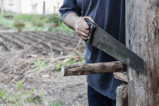 istock circumcised man sawing wood with a saw 1323085522