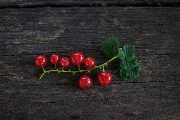 istock juicy fresh red currants on a dark old wooden background, top view 1323086271