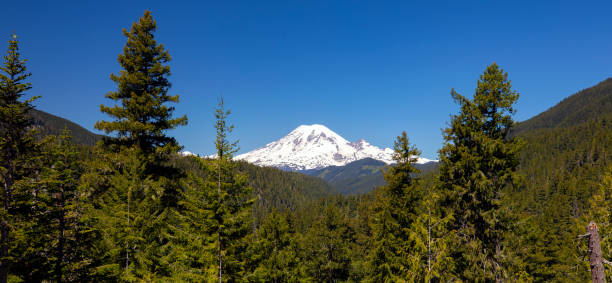 istock Mount Rainier National Park 1323090150