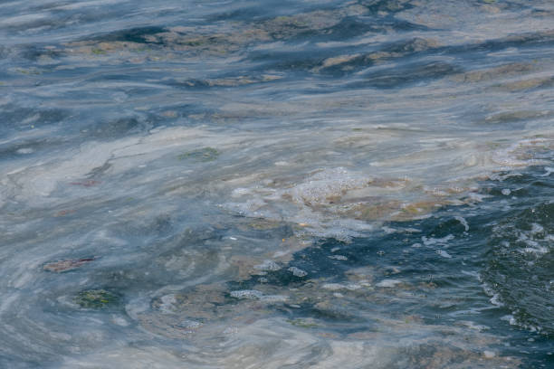 istock mucilage on the sea surface, istanbul, environmental disaster, 1323092056