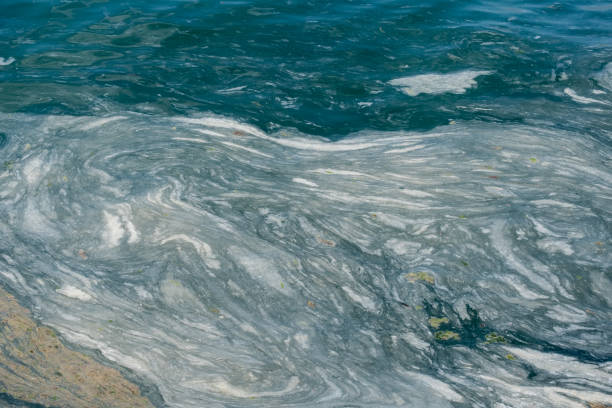 istock mucilage on the sea surface, istanbul, environmental disaster, 1323092059