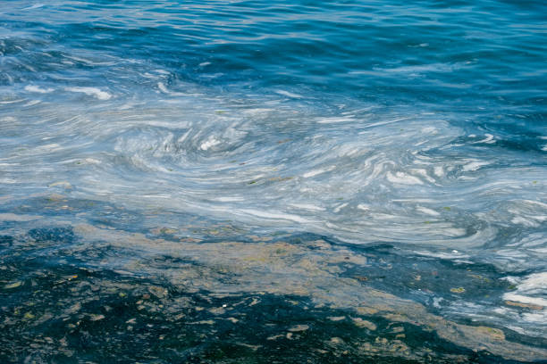 mucilage on the sea surface, istanbul, environmental disaster,