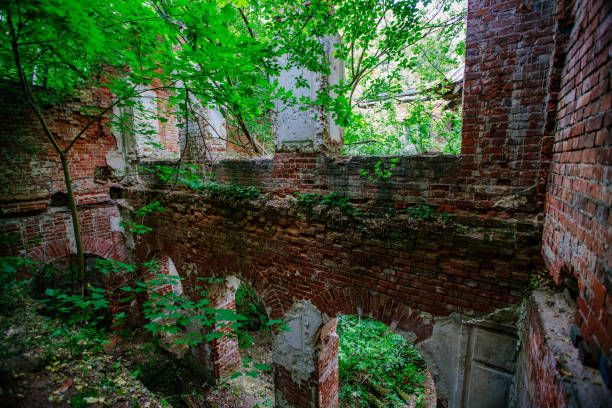 istock Old ancient abandoned red brick ruins overgrown by plants 1323092138