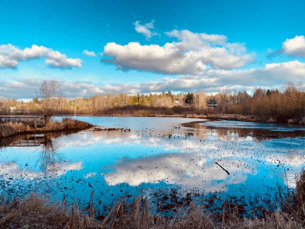 Cloud reflection at Juanita bay park.