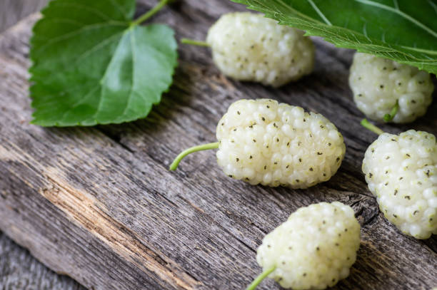 istock Close up fresh white mulberries on wooden background, summer fruit concept 1323097254