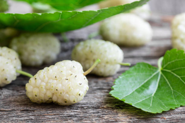 istock Close up fresh white mulberries on wooden background, summer fruit concept 1323098054