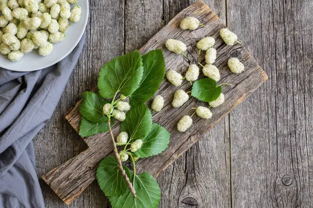 Photo of Fresh white mulberries in plate with branch on wooden background, summer fruit concept