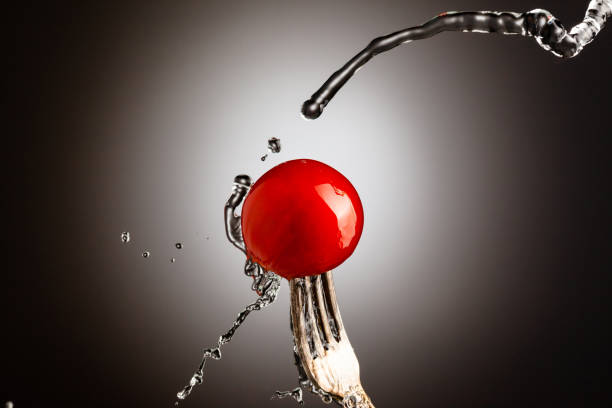 Cherry tomato ripe on a metal fork. A jet of water. Black white gradient background