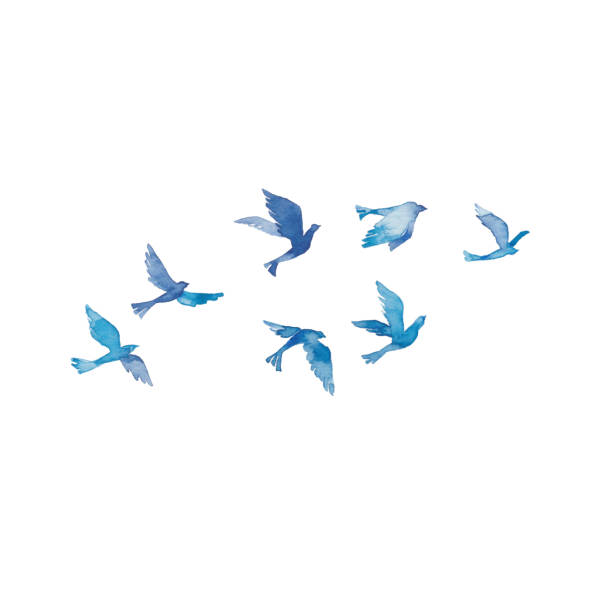 Flying bird Flying bird
A flock of birds flying in the sky hit the road stock illustrations