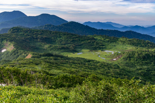 istock The marshland seen from Mount Hiuchiyama 1323117338