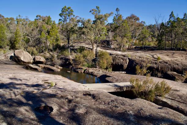 istock Stream in the Granite Belt View 1 1323117447