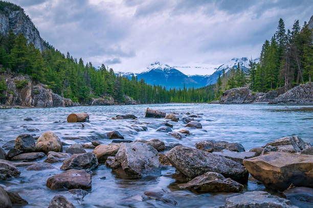 Mountain and River  Views in Banff National  Park A low angle long exposure perspective of the Bow River  flowing over rocks with  a mountain and trees in the background in Banff National Park canadian rockies stock pictures, royalty-free photos & images