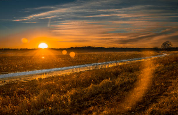 Beautiful Midwestern sunset over dray corn field in winter with lens flare Beautiful Midwestern sunset over dray corn field in winter; small stream delineated by melting snow runs through the field reflecting sunlight; lens flare missouri stock pictures, royalty-free photos & images