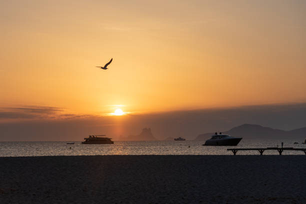 barcos no pôr do sol maravilhoso na praia de ses illetes na ilha de formentera, na espanha. - illetes - fotografias e filmes do acervo