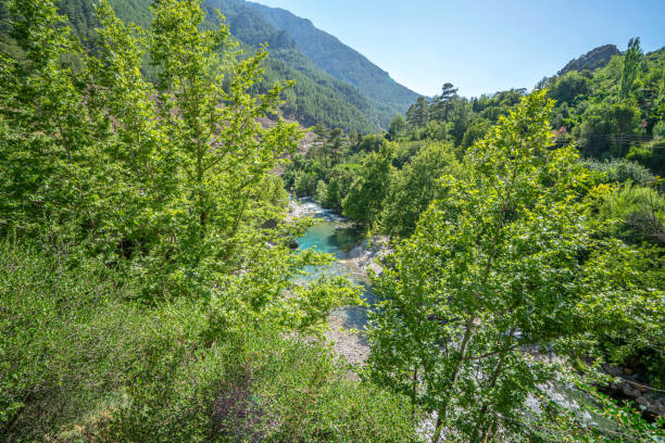istock Alara Kemer Bridge, Sunrise 1323125279