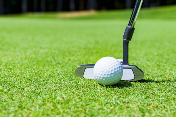 putter and golf ball on the green golf putting green stock pictures, royalty-free photos & images