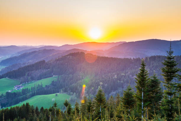 Germany, Schwarzwald nature landscape tree top view above the silhouette of endless forest scenery at sunset on top of a mountain stock photo