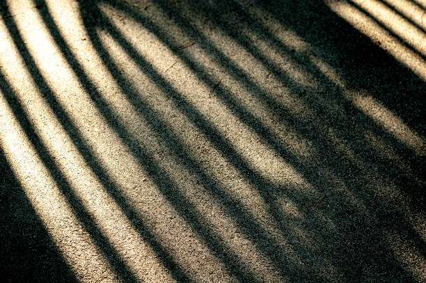 istock Bright sunlight and hard black shadows on the road. Shadow stripes on an asphalt road. 1323164961