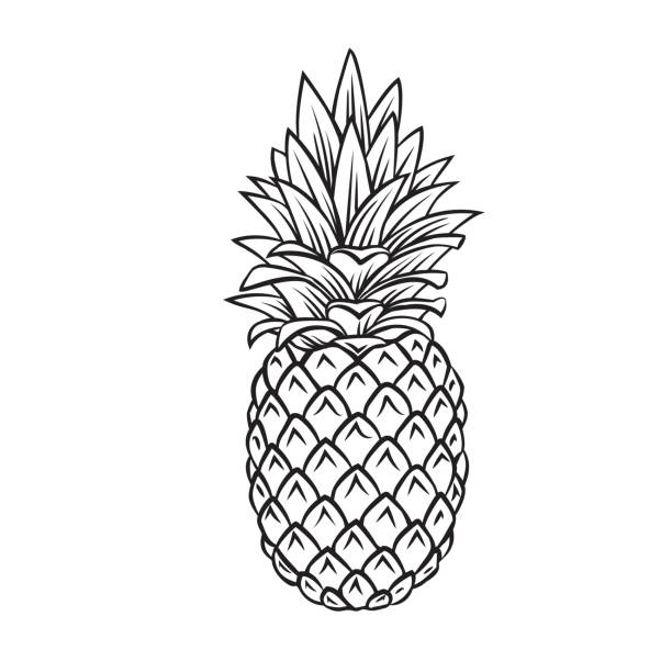2,529 Pineapple Line Drawing Illustrations & Clip Art - iStock | Pineapple  drawing