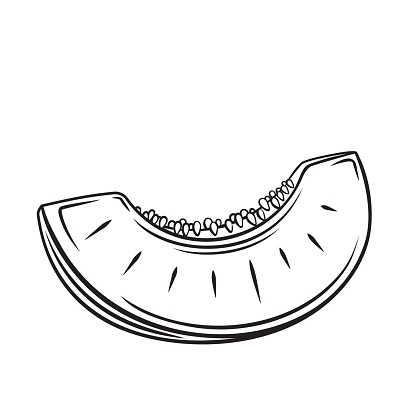 Slice melon fruit outline vector icon, drawing monochrome illustration. Healthy nutrition, organic food, vegetarian product.