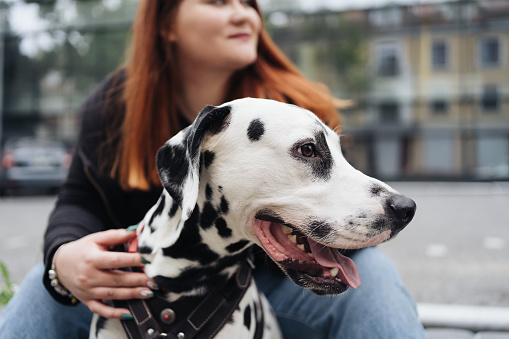 Happy woman posing and playing with her dalmatian dog during a urban city walk. Friendship, love and care concept