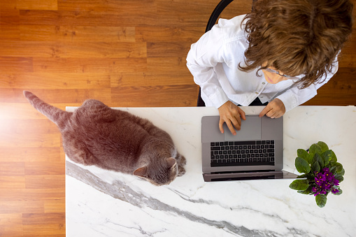 Modern woman working at home with her cat