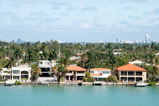 The view of residential Palm Island and Miami Beach skyline in a background (Florida).