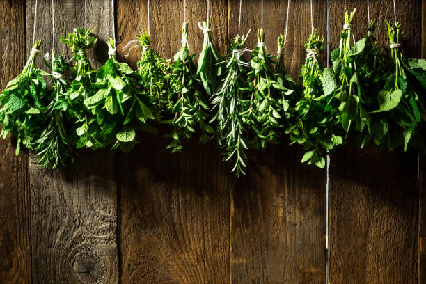 Hanging Bunches of Drying Aromatic Herbs and Spices. Wooden Background. Copy Space. stock photo