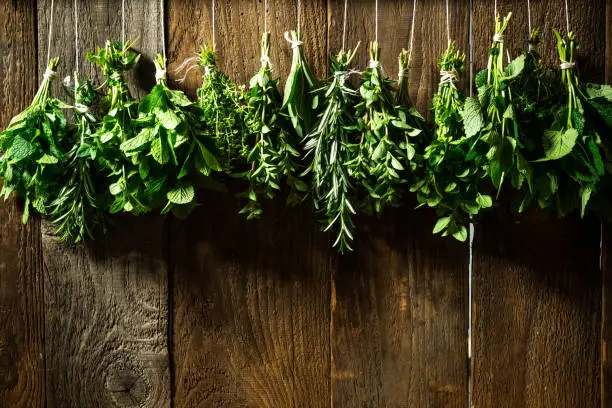 Hanging Bunches of Drying Aromatic Herbs and Spices. Wooden Background. Copy Space.
