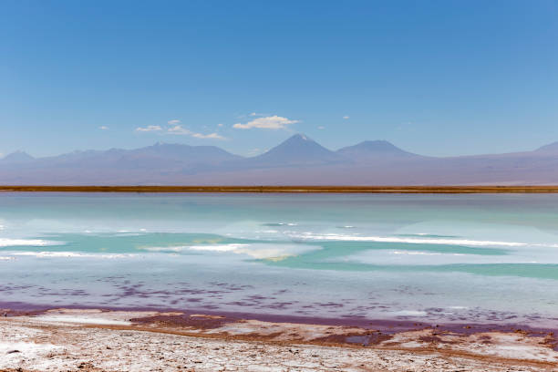 istock Tebinquinche lagoon, Salar de Atacama, Chile 1323183085