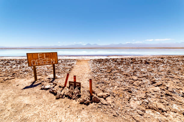 istock Tebinquinche lagoon, Salar de Atacama, Chile 1323183253