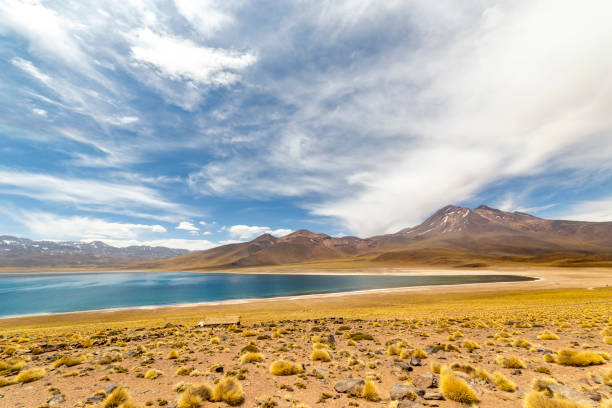 istock Miscanti Lagoon in the Atacama Desert, Chile 1323184435