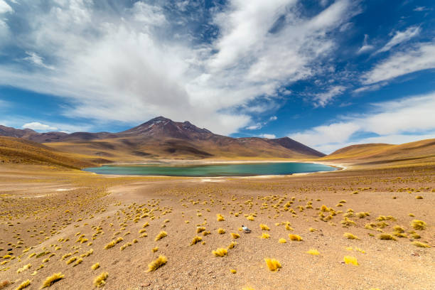 istock Miniques Lagoon in the Atacama Desert, Chile 1323184628