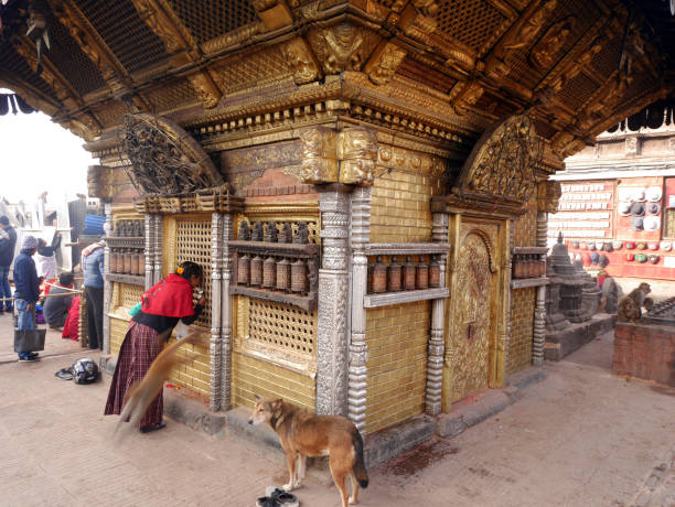 pagoda di swayambhunath o stupa di swoyambhu o tempio delle scimmie a kathmandu, nepal - nepal buddha monkey temple tibet foto e immagini stock