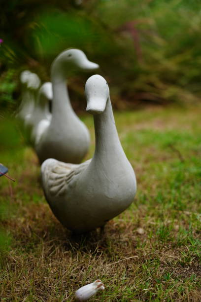 istock Duck statue in the garden 1323186804