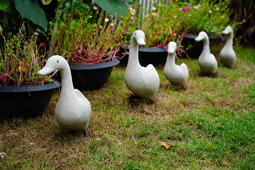 4 of ducks ceramic figure decorated in the garden.