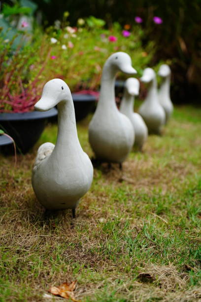 istock Duck statue in the garden 1323186834