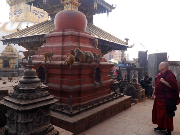 pagoda di swayambhunath o swayambu chedi o swoyambhu stupa o tempio delle scimmie e occhi del signore buddha a kathmandu, nepal - nepal buddha monkey temple tibet foto e immagini stock