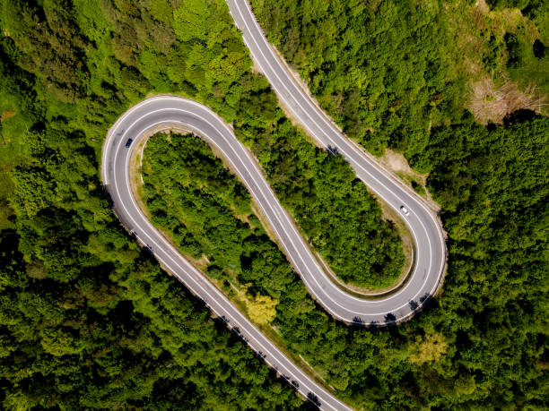 istock Curvy Road in Forest. Top Down Drone View 1323189408