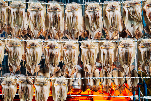 Dried squid hang on the line at Ganggu Port seafood market in Yeongdeok, Korea