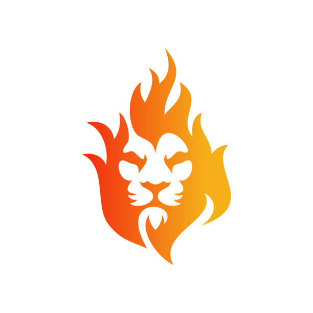 lion fire gradient farbe logo design - löwe stock-grafiken, -clipart, -cartoons und -symbole