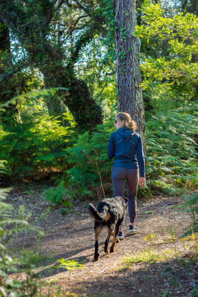 istock beautiful young woman walking in the forest with her dog 1323191663