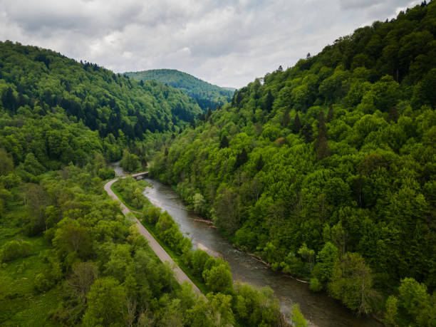 istock Road Trough Bieszczady Mountains Park. Drone View 1323191725