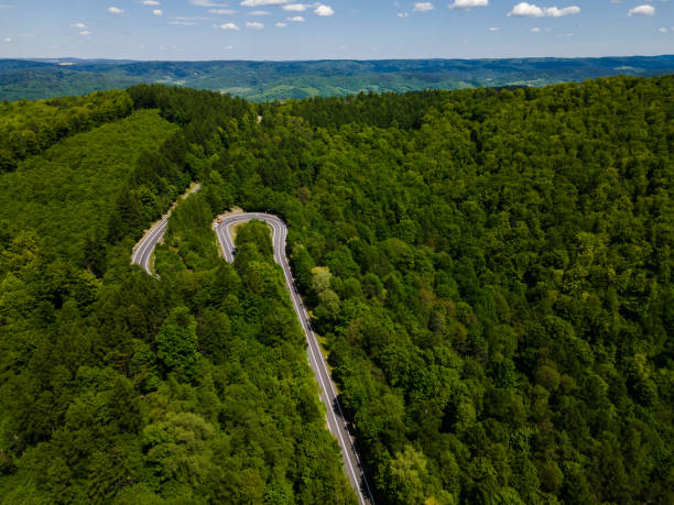 istock Road in Green Forest. Drone View 1323191744