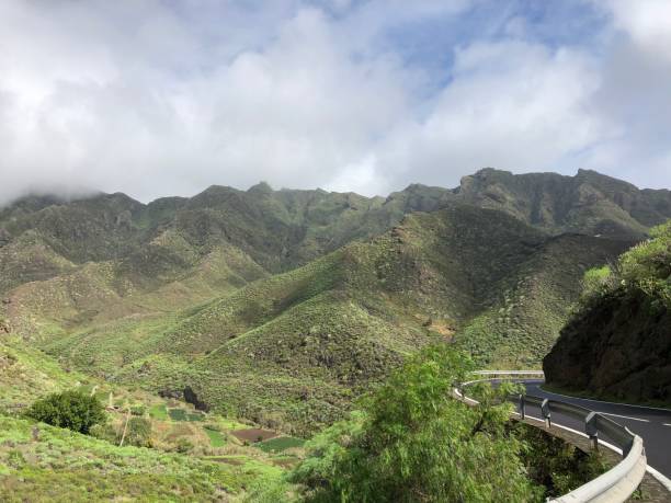 istock Park Anaga Tenerife 1323192699