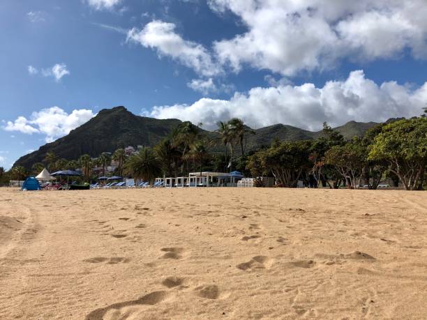 istock Santa Cruz de Tenerife 1323192725