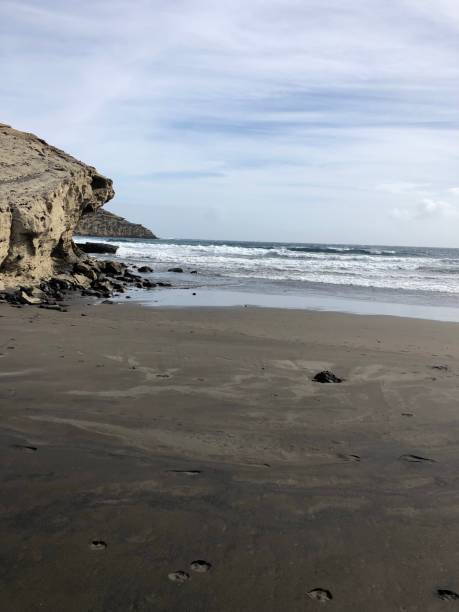 istock Black sand on Tenerife 1323192782