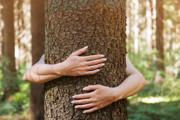 istock Woman hugging a tree trunk in summer forest. 1323193411
