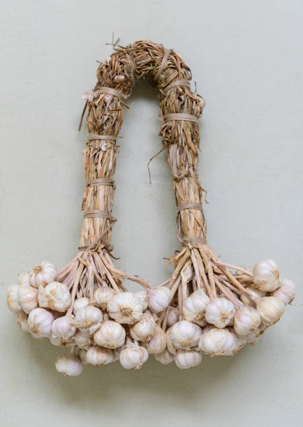 ajo orgánico de cosecha propia colgando en la cocina - garlic hanging string vegetable fotografías e imágenes de stock